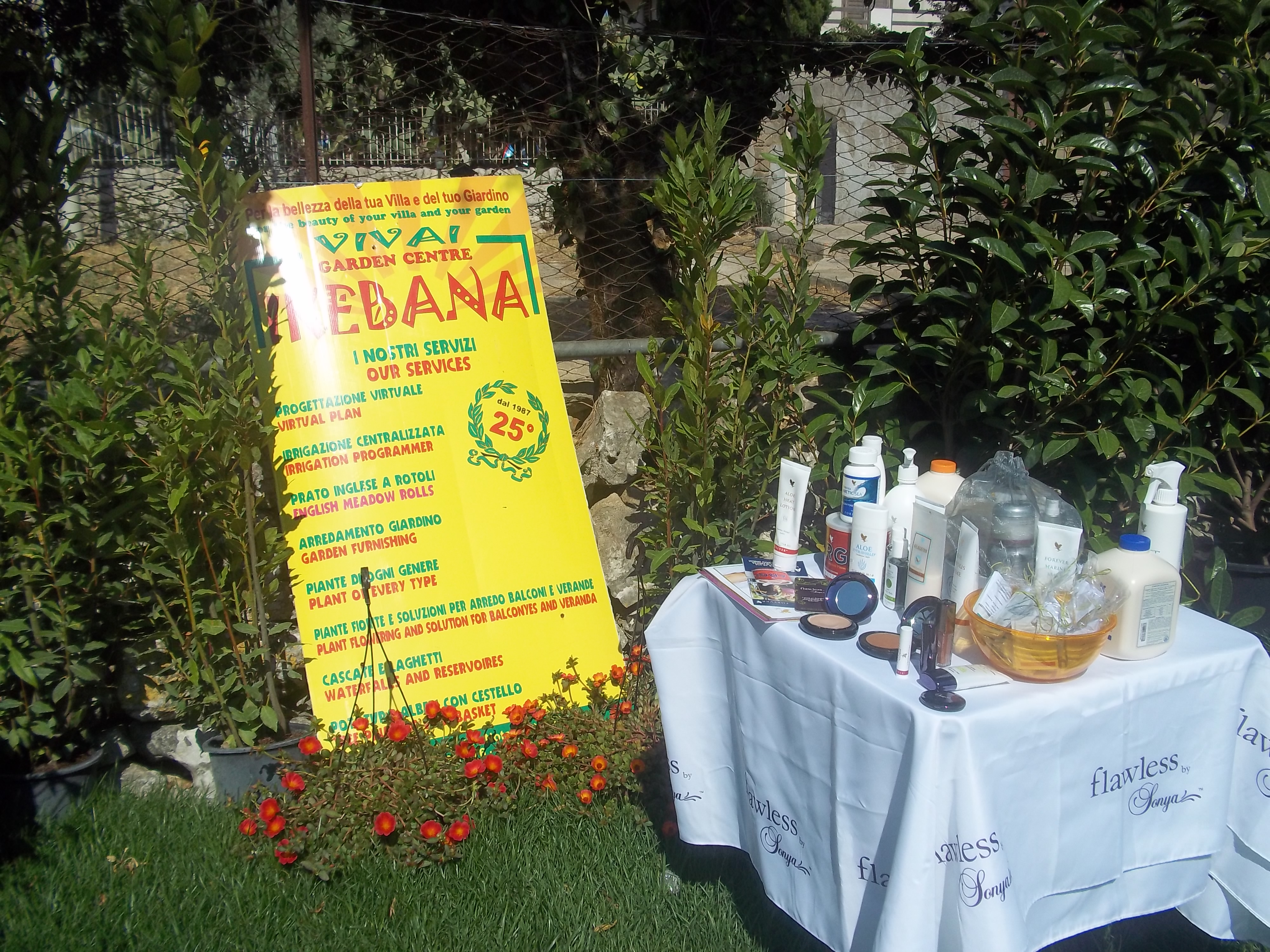  DOVE COMPRARE PIANTE DI ALOE, PIANTE RAGUSA, vivai piante da frutto aziende florovivaistiche ragusa, vivai piante e fiori ragusa, VIVAIO IKEBANA RAGUSA, vivaio ragusa